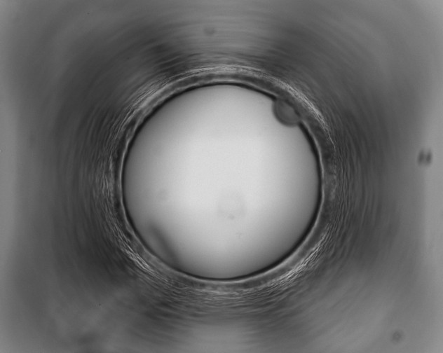 X0000101200969200806270826