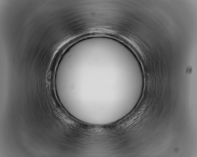 X0000101200971200806270826