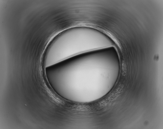 X0000101200972200806270826