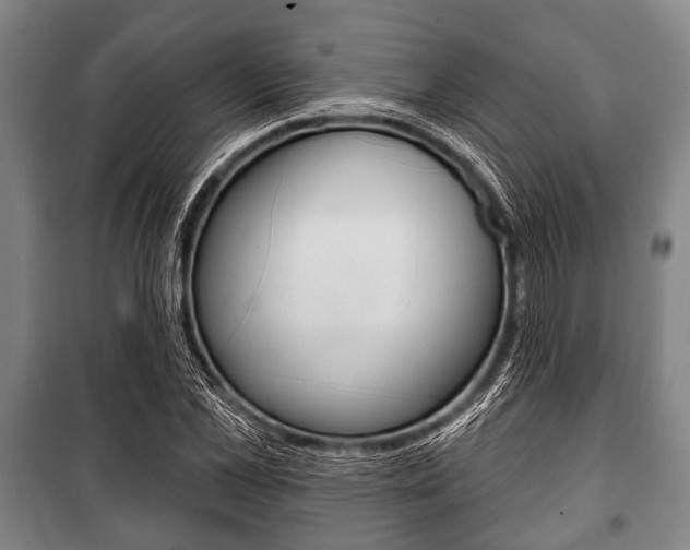 X0000101200973200806270826