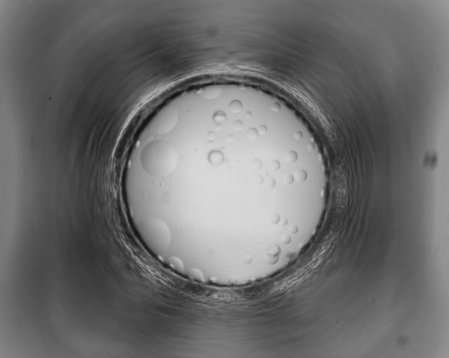 X0000101200974200806270826
