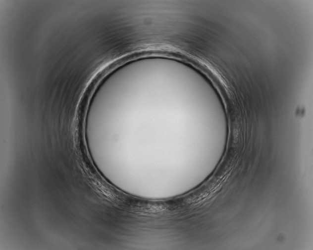 X0000101200975200806270826