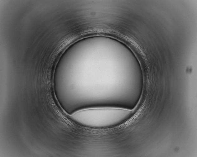 X0000101200977200806270826