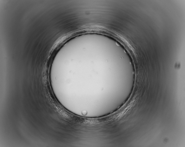 X0000101200978200806270826