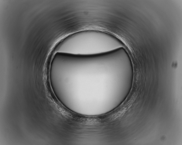 X0000101200979200806270825