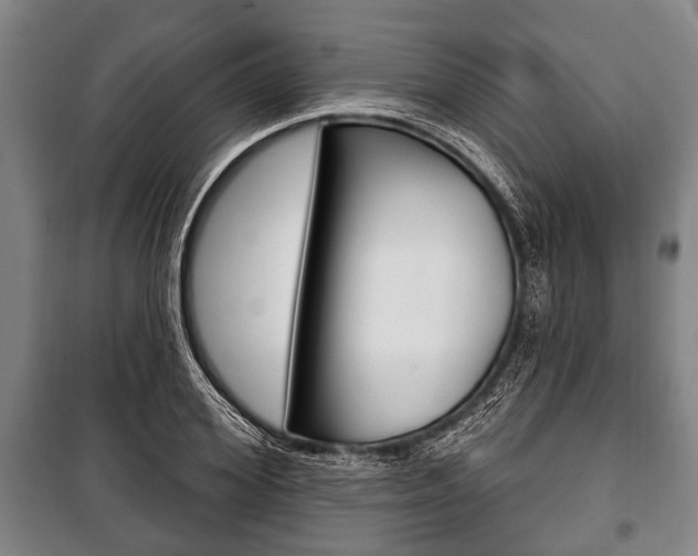 X0000101200980200806270825