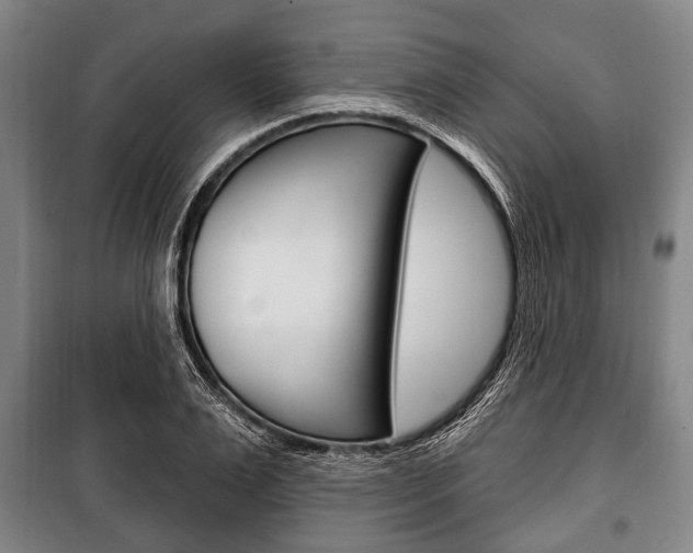 X0000101200983200806270825