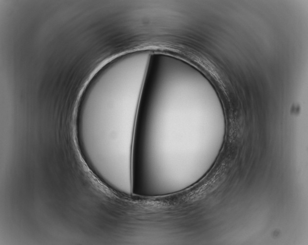 X0000101200984200806270825