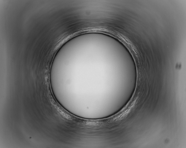 X0000101200985200806270825