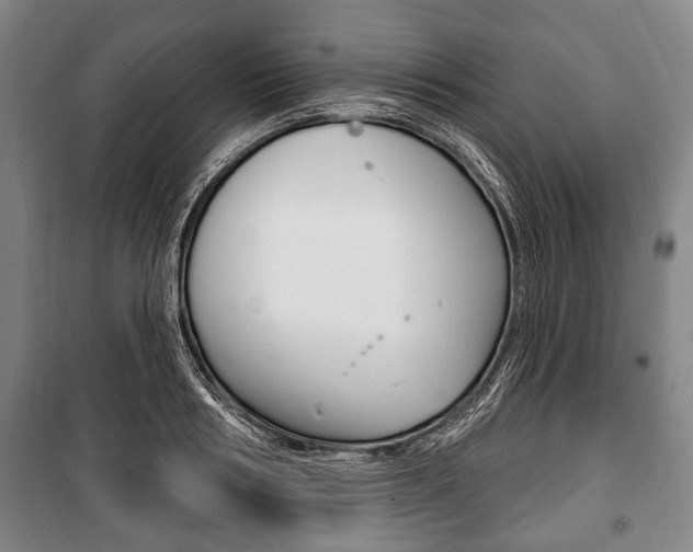 X0000101200986200806270825