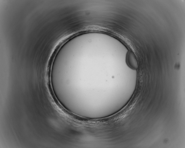 X0000101200987200806270825