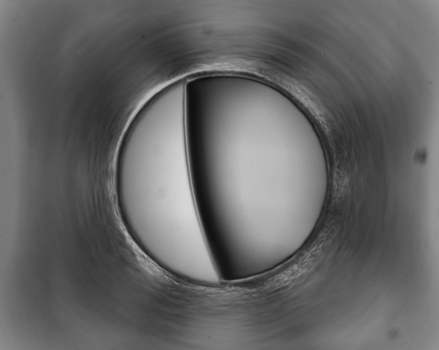 X0000101200988200806270825