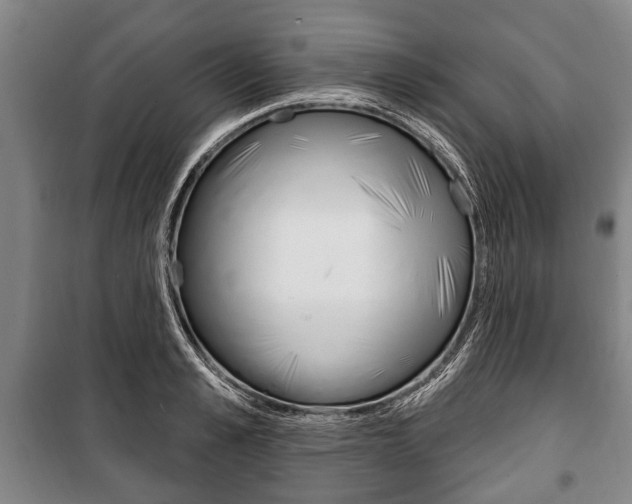 X0000101200989200806270825