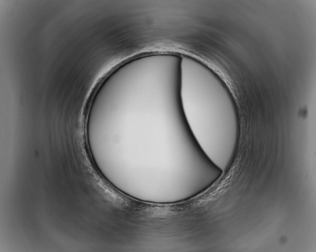 X0000101200990200806270825