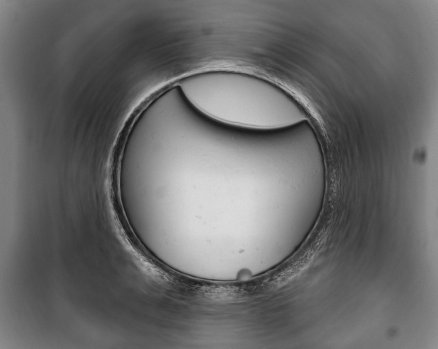 X0000101200991200806270825