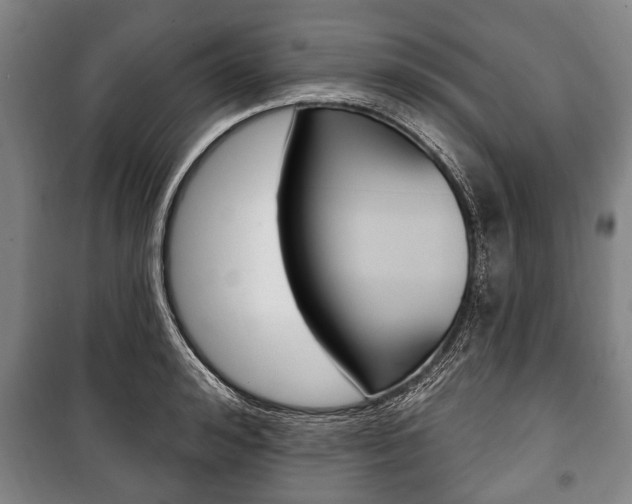 X0000101200992200806270825