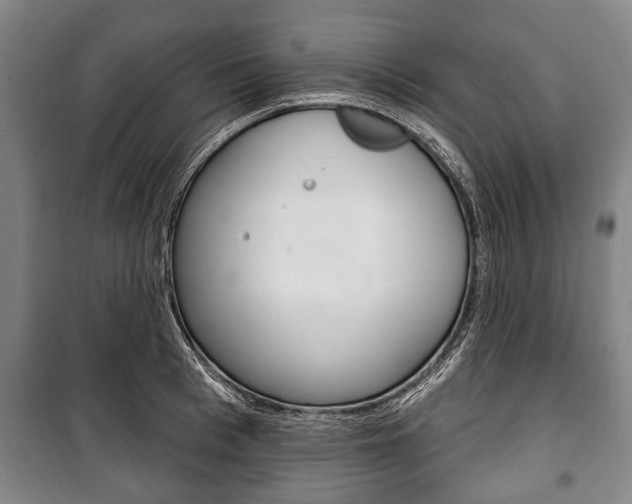 X0000101200993200806270825
