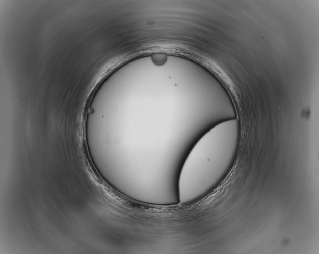 X0000101200994200806270825