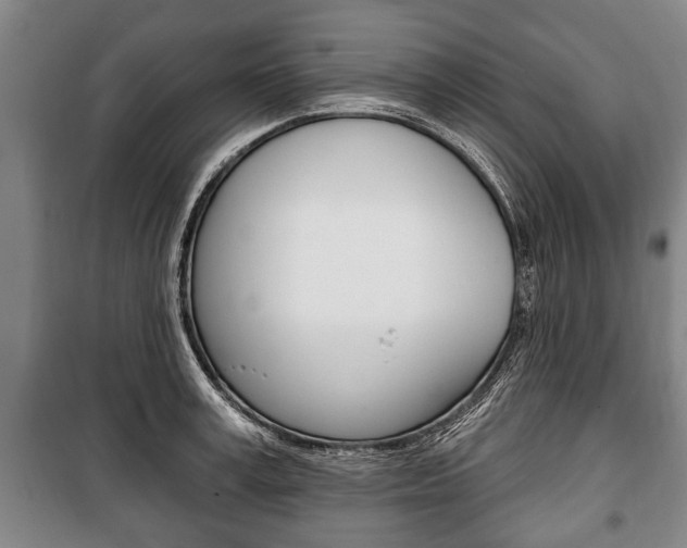 X0000101200995200806270825