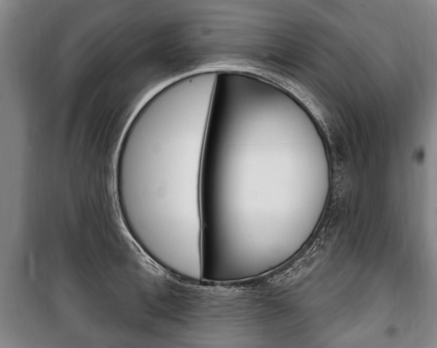 X0000101200996200806270825