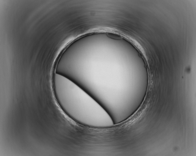 X0000101200997200806270825