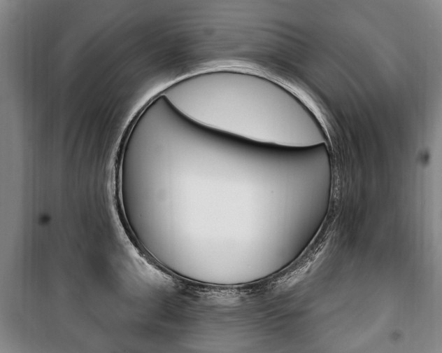 X0000101200999200806270825