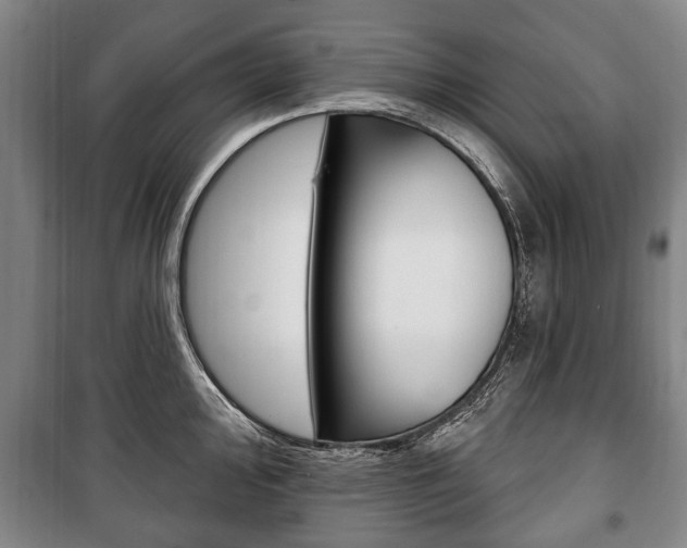 X0000101201000200806270825