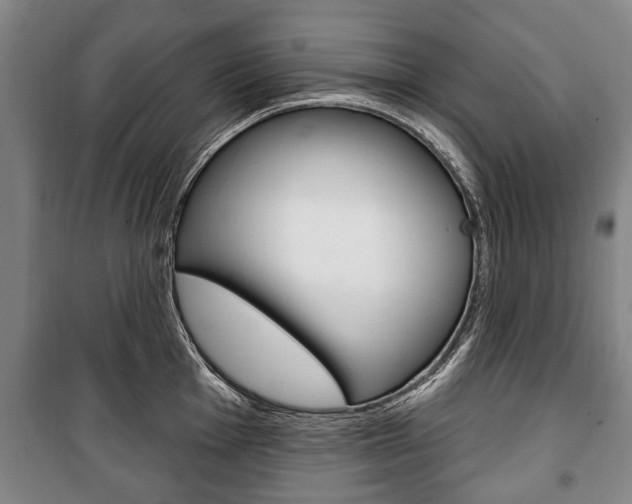 X0000101201001200806270825