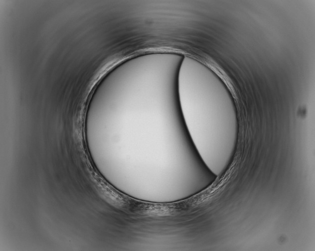 X0000101201002200806270825