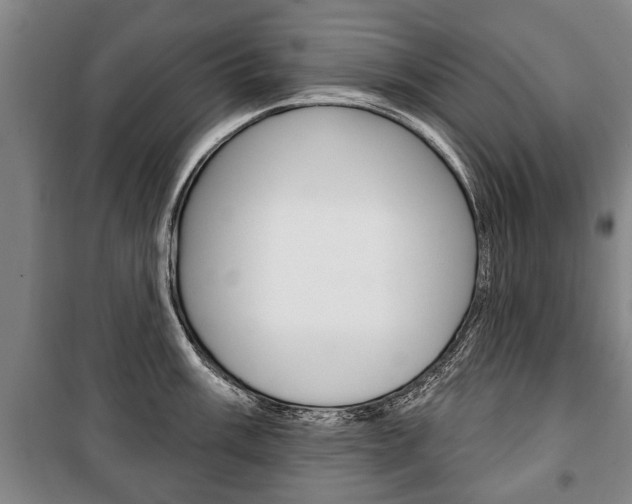 X0000101201003200806270825
