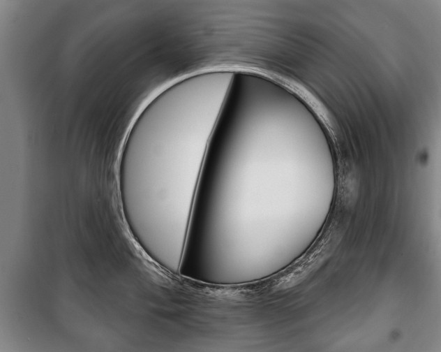 X0000101201004200806270825