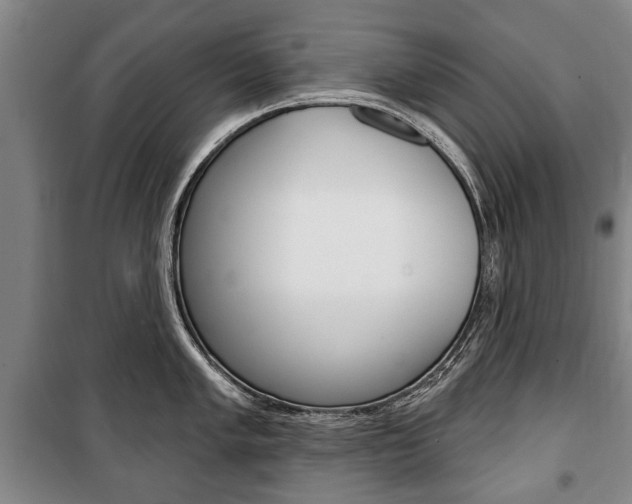 X0000101201005200806270825
