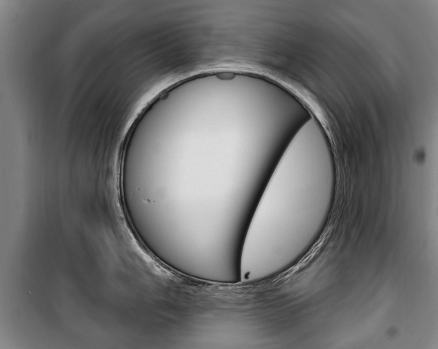 X0000101201006200806270825