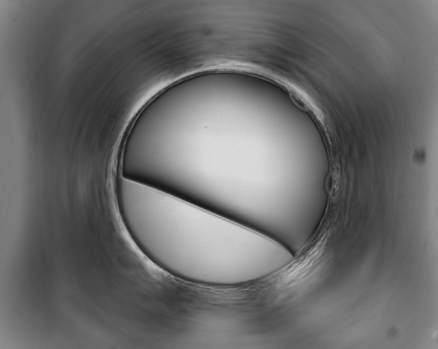 X0000101201007200806270825