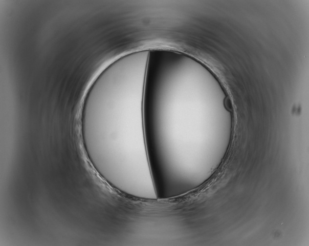 X0000101201008200806270825