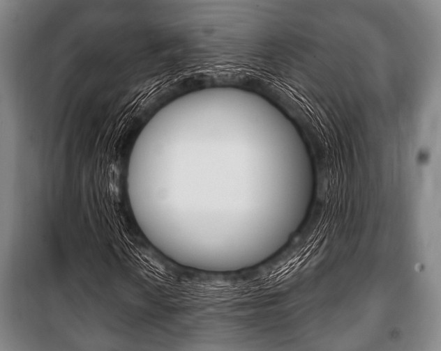 X0000101201010200806270824