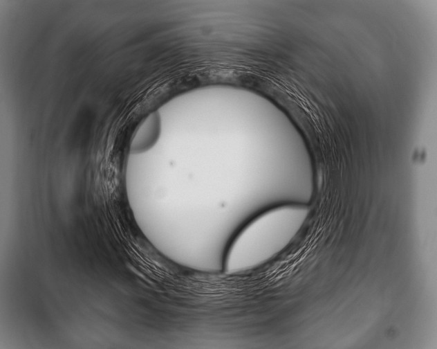 X0000101201011200806270824