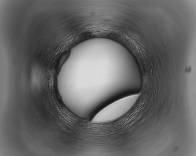 X0000101201012200806270824