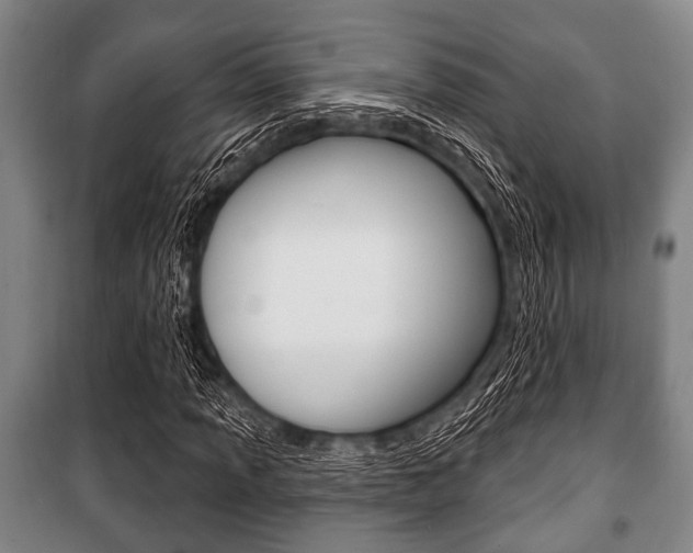 X0000101201013200806270824