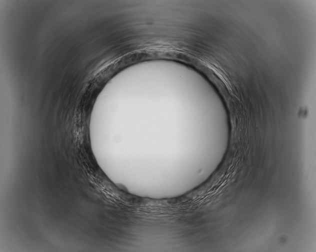 X0000101201015200806270824