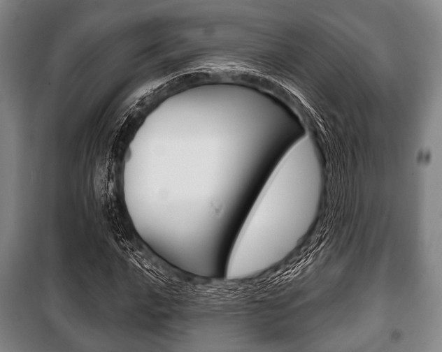 X0000101201016200806270824
