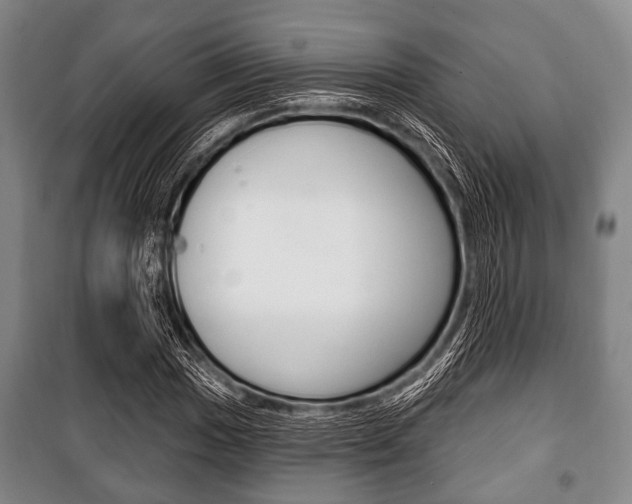 X0000101201017200806270824