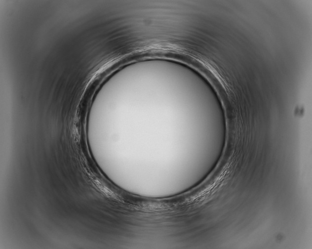X0000101201018200806270824