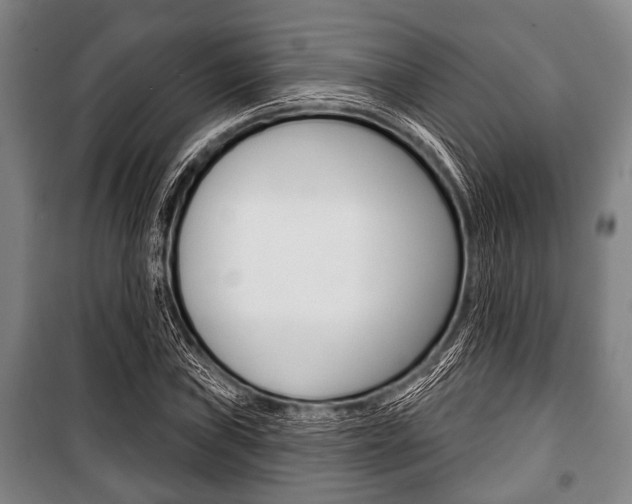 X0000101201019200806270824