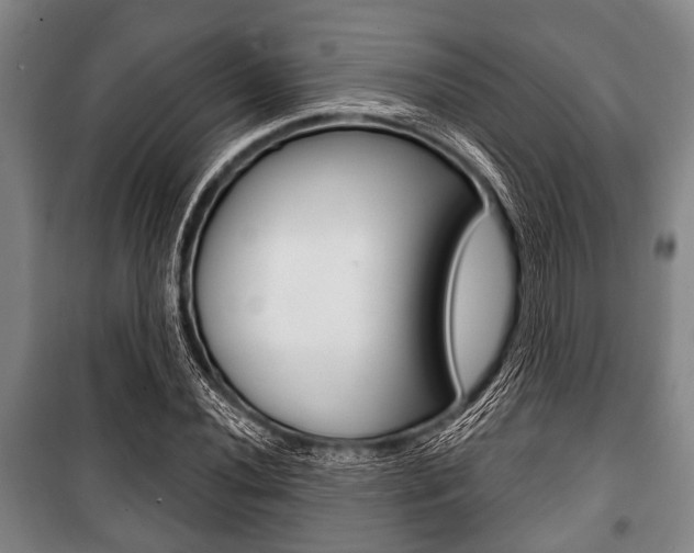 X0000101201020200806270824