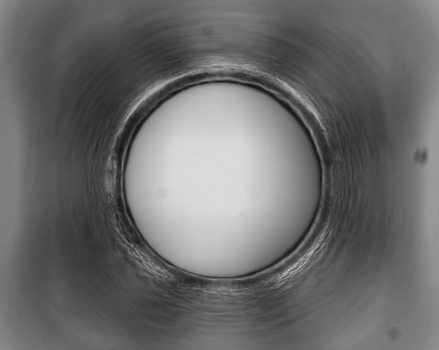 X0000101201021200806270824