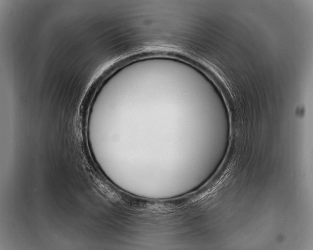 X0000101201022200806270824