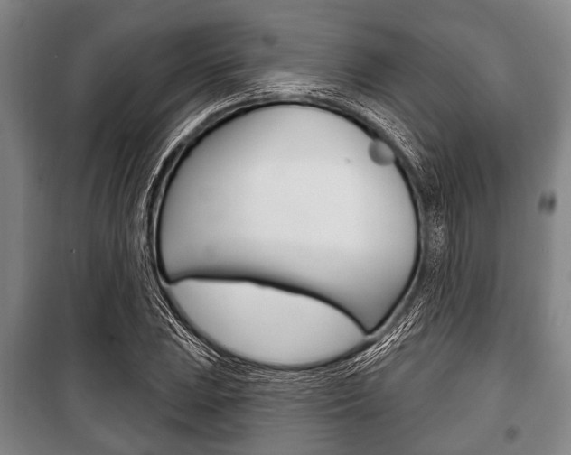X0000101201023200806270824
