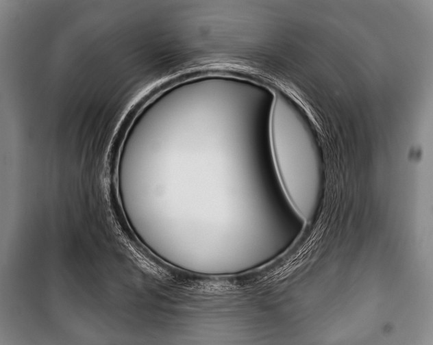 X0000101201024200806270824