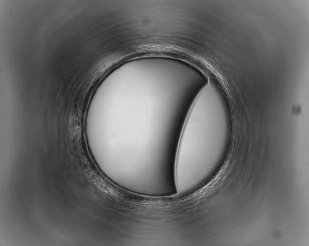 X0000101201025200806270824
